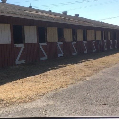 Horse_stalls